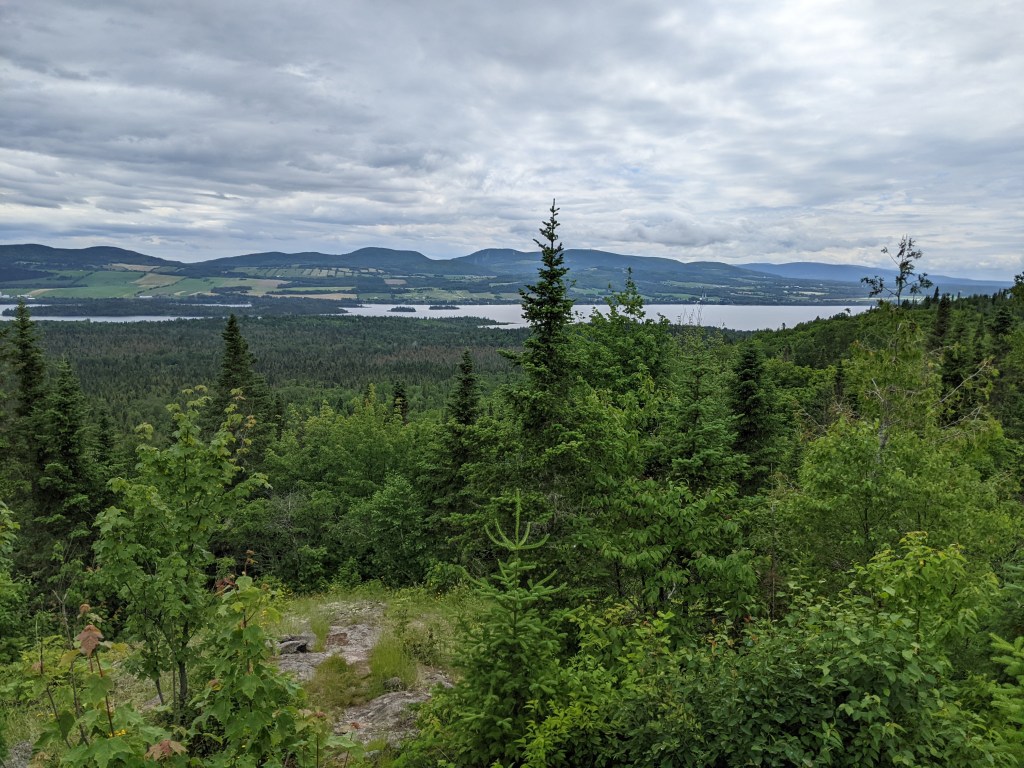 SIA Day 9: Amqui to Abri St-Vianney (28km, +881m,&nbsp;-796m)